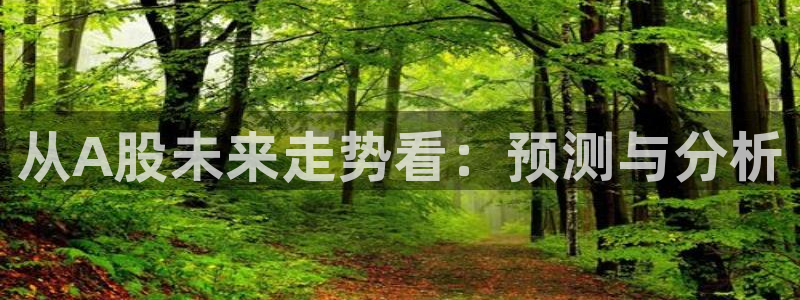 BB贝博艾弗森ccmpc：从A股未来走势看：预测与分析