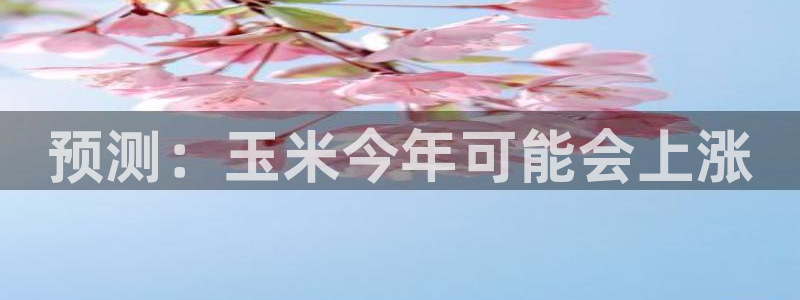 BB贝博艾弗森集团股票：预测：玉米今年可能会上涨