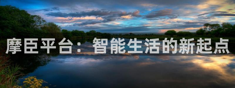 南宫BB贝博艾弗森官网版：摩臣平台：智能生活的新起点