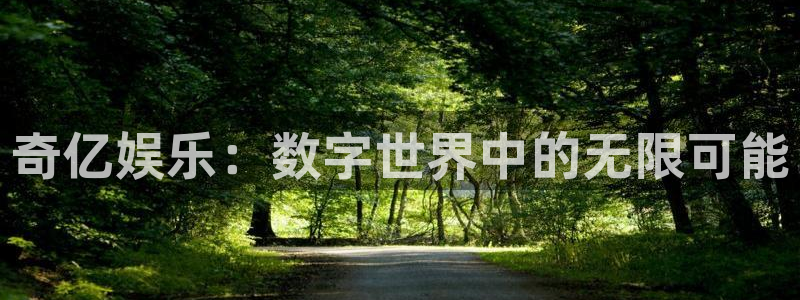 BB贝博艾弗森体育和杏耀是哪个公司的：奇亿娱乐：数字世界中的无限可能