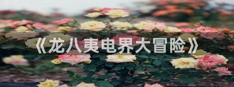 BB贝博艾弗森平台开户链接：《龙八夷电界大冒险》