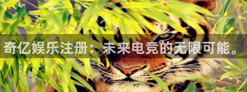 BB贝博艾弗森quan28.cc：奇亿娱乐注册：未来电竞的无限可能。