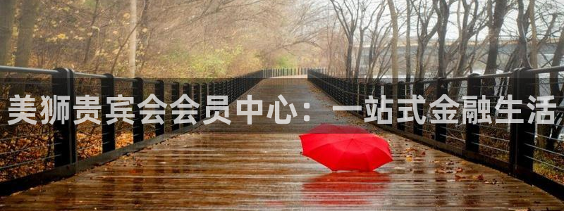 BB贝博艾弗森体育用品：美狮贵宾会会员中心：一站式金融生活