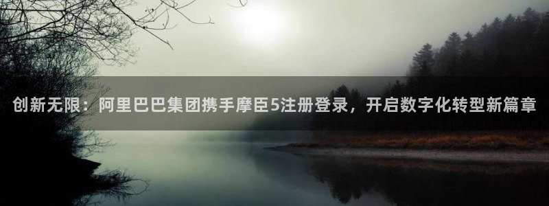 BB贝博艾弗森主管：创新无限：阿里巴巴集团携手摩臣5注册登录，开启数字化转型新篇
