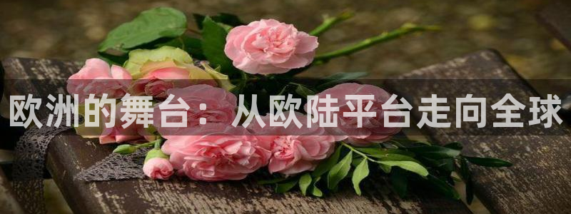 BB贝博艾弗森平台主管：欧洲的舞台：从欧陆平台走向全球