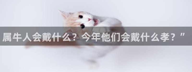 BB贝博艾弗森官网下载：属牛人会戴什么？今年他们会戴什么孝？”