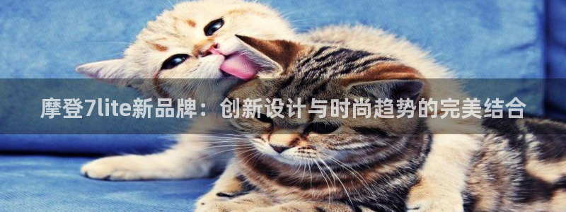 BB贝博艾弗森软件：摩登7lite新品牌：创新设计与时尚趋势的完美结合