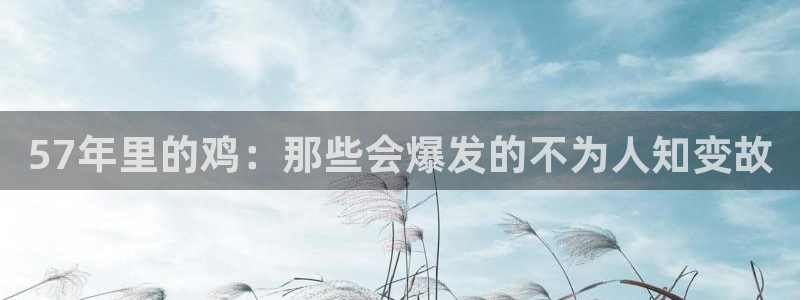 BB贝博艾弗森游app：57年里的鸡：那些会爆发的不为人知变故