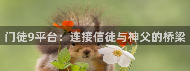 BB贝博艾弗森代理：门徒9平台：连接信徒与神父的桥梁