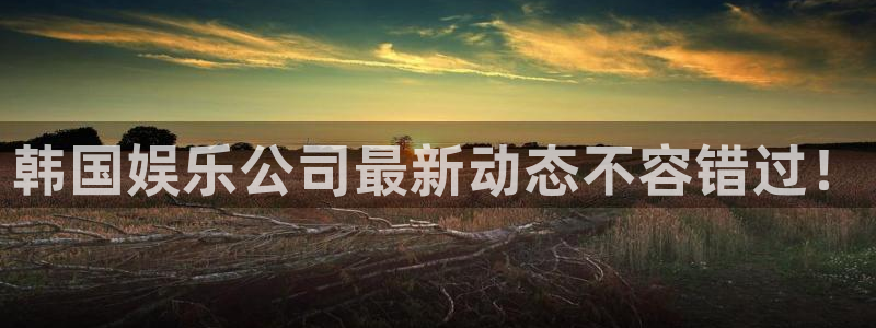BB贝博艾弗森加拿大在线预测：韩国娱乐公司最新动态不容错过！