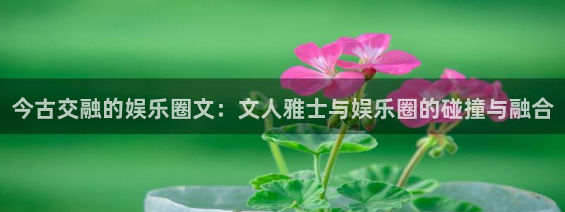 BB贝博艾弗森体育在线注册：今古交融的娱乐圈文：文人雅士与娱乐圈的碰撞与融合