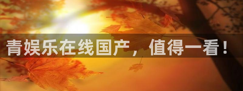 BB贝博艾弗森4：青娱乐在线国产，值得一看！