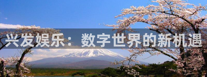 BB贝博艾弗森4登录：兴发娱乐：数字世界的新机遇