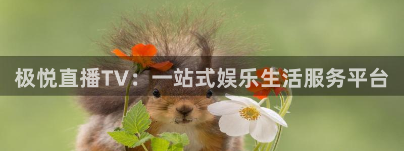 BB贝博艾弗森平台开户：极悦直播TV：一站式娱乐生活服务平台