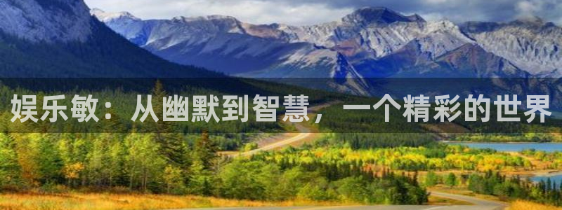 电子游戏BB贝博艾弗森：娱乐敏：从幽默到智慧，一个精彩的世界