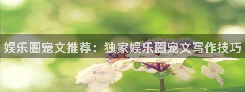 BB贝博艾弗森2登录地址：娱乐圈宠文推荐：独家娱乐圈宠文写作技巧