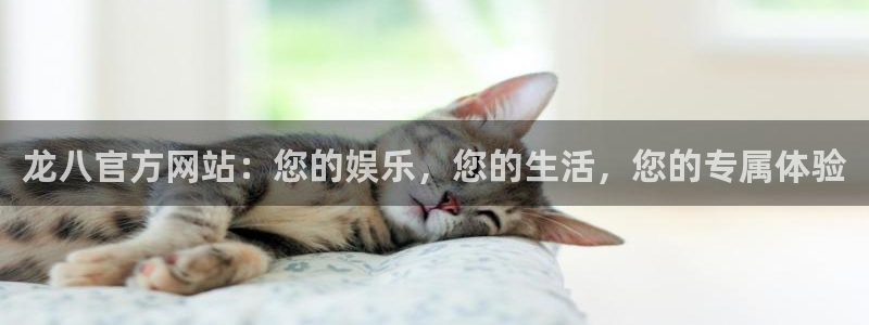 BB贝博艾弗森加拿大下载：龙八官方网站：您的娱乐，您的生活，您的专属体验