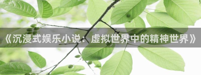 BB贝博艾弗森体育官网注册：《沉浸式娱乐小说：虚拟世界中的精神世界》