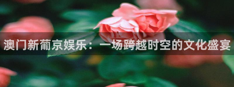 BB贝博艾弗森体育凯捷平台注册：澳门新葡京娱乐：一场跨越时空的文化盛宴