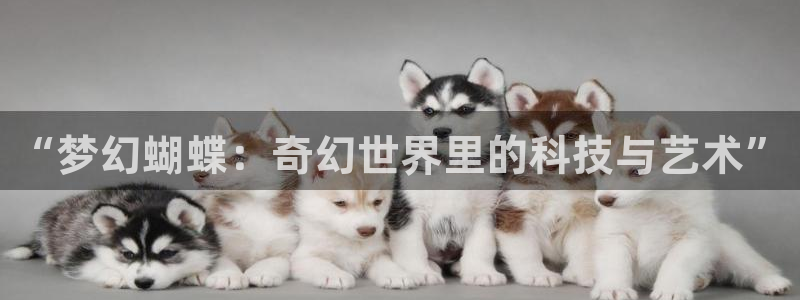 BB贝博艾弗森平台链接：“梦幻蝴蝶：奇幻世界里的科技与艺术”