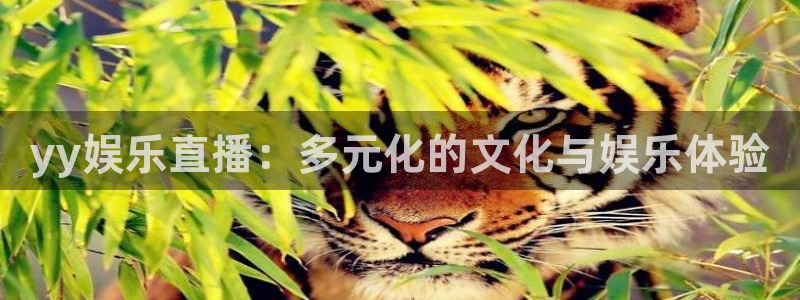 BB贝博艾弗森股份：yy娱乐直播：多元化的文化与娱乐体验