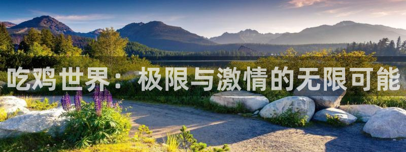 BB贝博艾弗森.com：吃鸡世界：极限与激情的无限可能