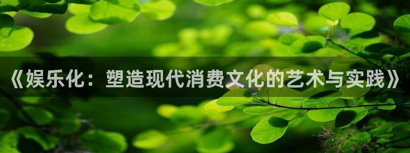 BB贝博艾弗森网站登录流程：《娱乐化：塑造现代消费文化的艺术与实践》