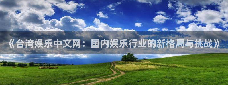 福建BB贝博艾弗森机电股份公司：《台湾娱乐中文网：国内娱乐行业的新格局与挑战》