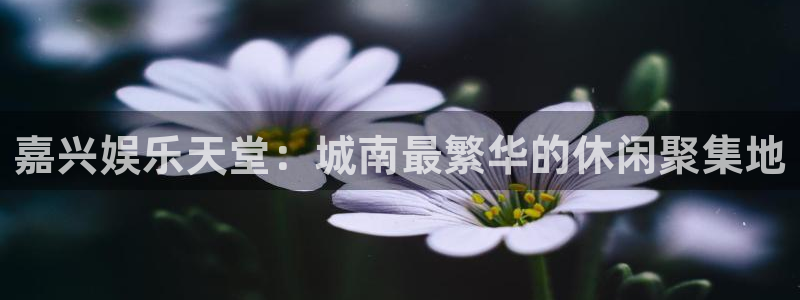 BB贝博艾弗森vip麻将胡了：嘉兴娱乐天堂：城南最繁华的休闲聚集地