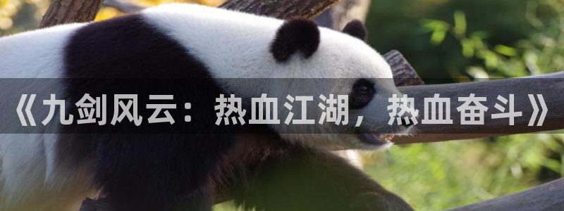 BB贝博艾弗森体育2：《九剑风云：热血江湖，热血奋斗》