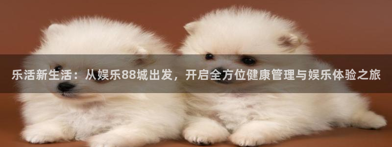BB贝博艾弗森体育eon：乐活新生活：从娱乐88城出发，开启全方位健康管理与娱乐体验之旅
