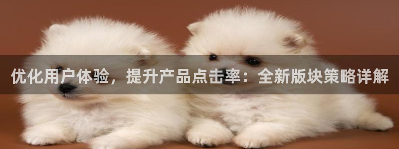 BB贝博艾弗森赏金女王：优化用户体验，提升产品点击率：全新版块策略详解