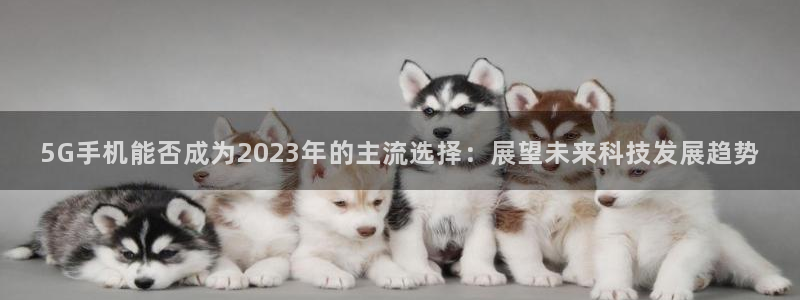 BB贝博艾弗森平台：5G手机能否成为2023年的主流选择：展望未来科技发展趋势